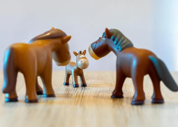 Appartement Familie Allgeier *